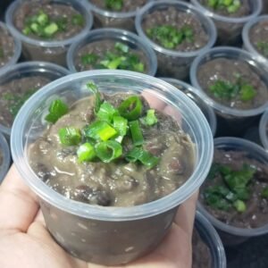 Potinho de Feijão preto congelado- 130g